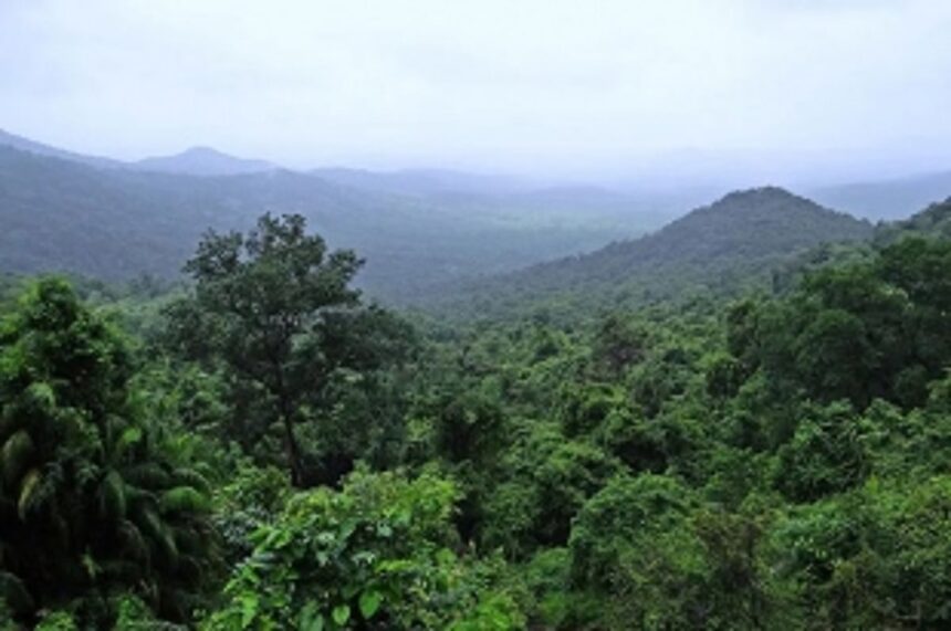 After Mollem, felling of 2,097 trees inside Kali Tiger Reserve for double-tracking stopped