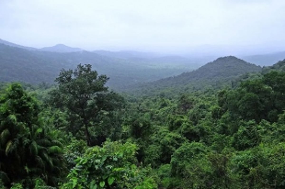 After Mollem, felling of 2,097 trees inside Kali Tiger Reserve for double-tracking stopped