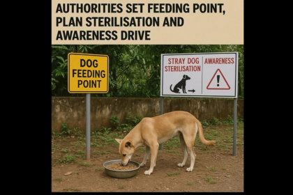 After Stray Dog Attack in Ponda, Authorities Set Feeding Point, Plan Sterilisation and Awareness Drive