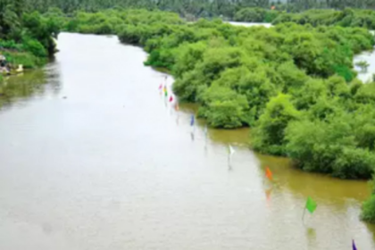 After a decade’s wait, fisherfolk elated to find clams & mussels in River Sal