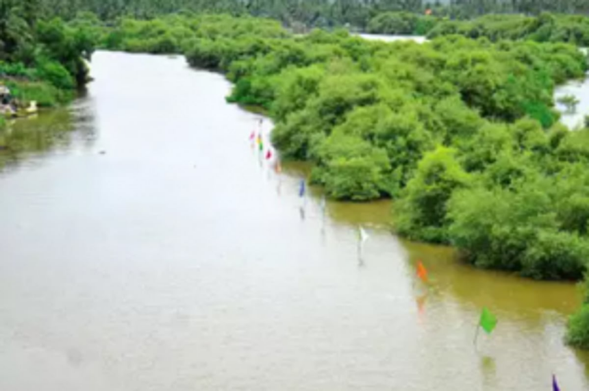 After a decade’s wait, fisherfolk elated to find clams & mussels in River Sal