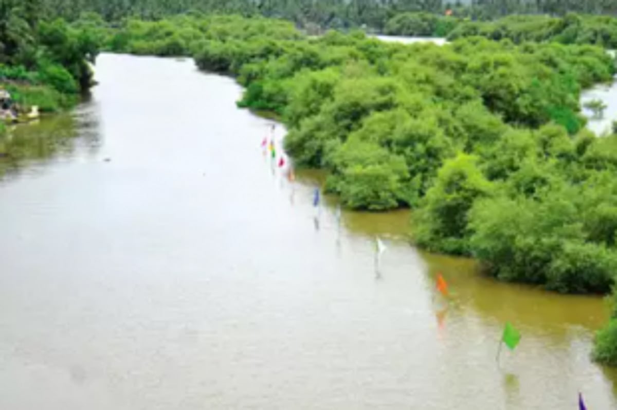 After a decade’s wait, fisherfolk elated to find clams & mussels in River Sal