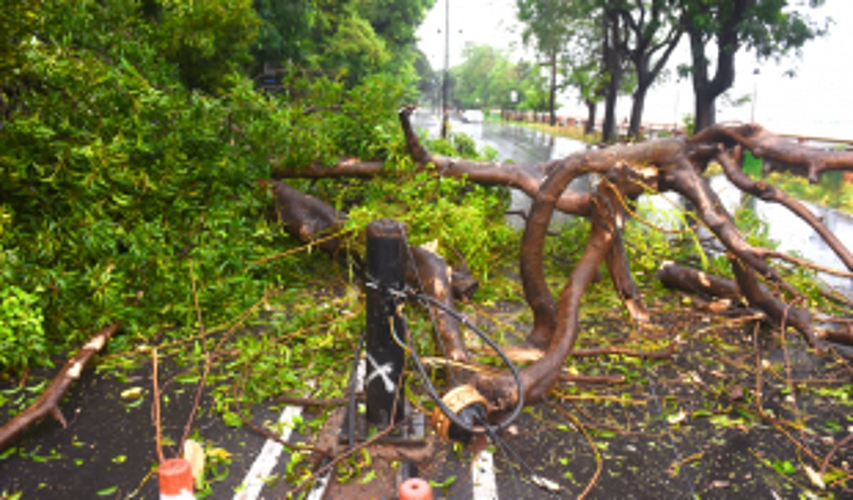 After a severe cyclone, relief work will take time
