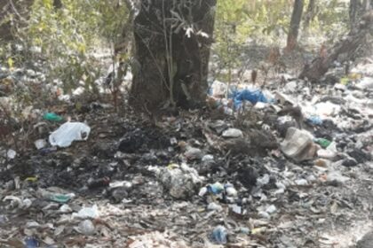 After cattle menace, now it’s the garbage problem haunting Siolim village