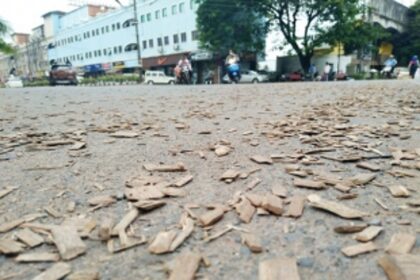 After coal dust, woodchips pollute Vasco