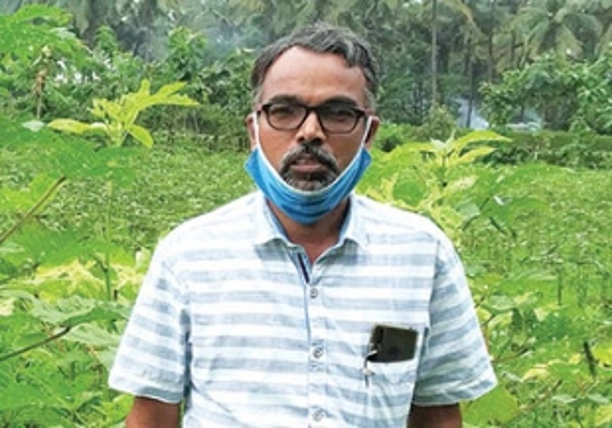 After fighting miners to protect their lands, the green fields of Sanquelim locals are flourishing