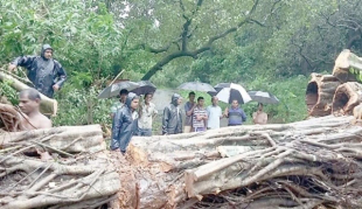After firemen wash hands off, youth  clear fallen tree from Netravali road
