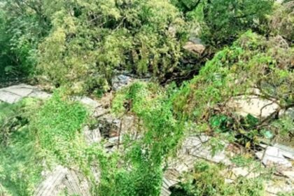 After the ‘event’, garbage rests in peace behind Margao’s KTC bus-stand