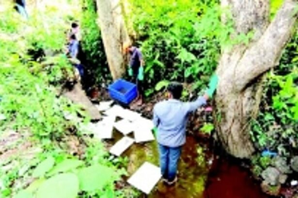 After wells, now streams and nullahs  in Matvem-Dabolim contaminated