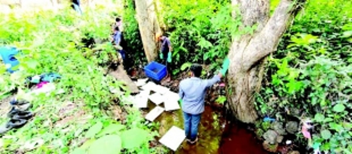 After wells, now streams and nullahs  in Matvem-Dabolim contaminated