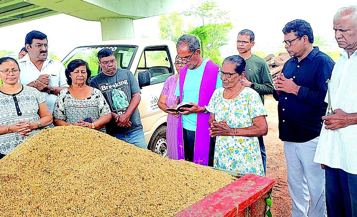 After years of challenges, Navelim ryots celebrate a season of renewed cultivation