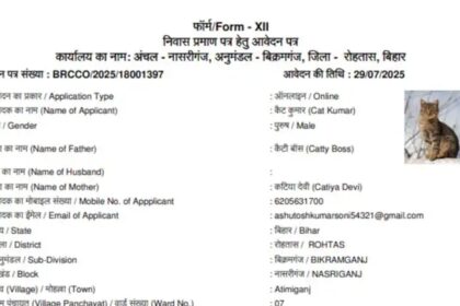 After ‘Dog Babu’ and ‘Sonalika Tractor’, ‘Cat Kumar’ joins Bihar’s resident list
