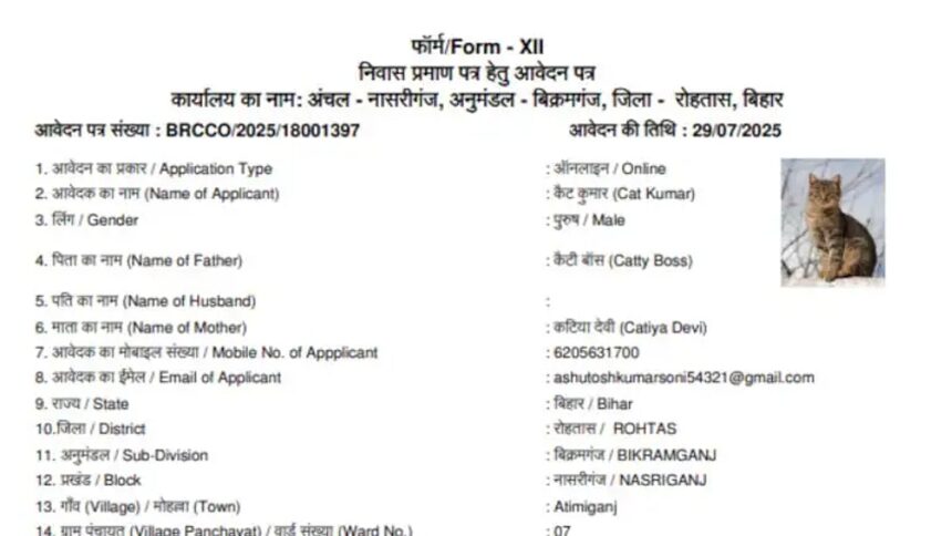 After ‘Dog Babu’ and ‘Sonalika Tractor’, ‘Cat Kumar’ joins Bihar’s resident list 1 After ‘Dog Babu’ and ‘Sonalika Tractor’, ‘Cat Kumar’ joins Bihar’s resident list
