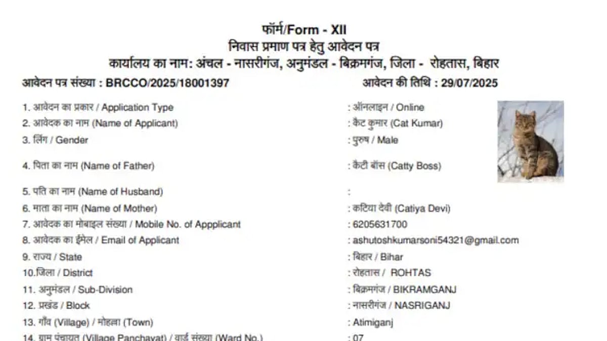 After ‘Dog Babu’ and ‘Sonalika Tractor’, ‘Cat Kumar’ joins Bihar’s resident list