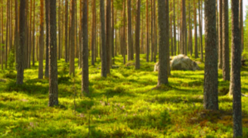 Against projects at protected areas, Govt, agencies to pay 2% of its cost for mitigation 1 Against projects at protected areas, Govt, agencies to pay 2% of its cost for mitigation