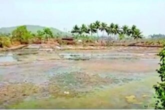 Agarwada farmers raise concern over  saline water entering fields and salt pans