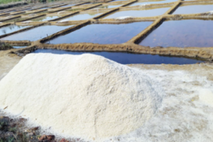 Agarwada farmers smile as long pending work of  footpath leading to salt pans begins