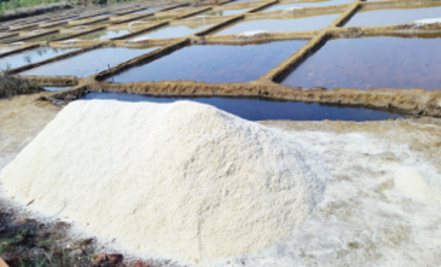 Agarwada farmers smile as long pending work of  footpath leading to salt pans begins