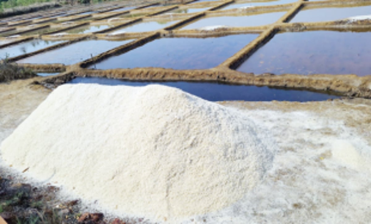 Agarwada farmers smile as long pending work of  footpath leading to salt pans begins