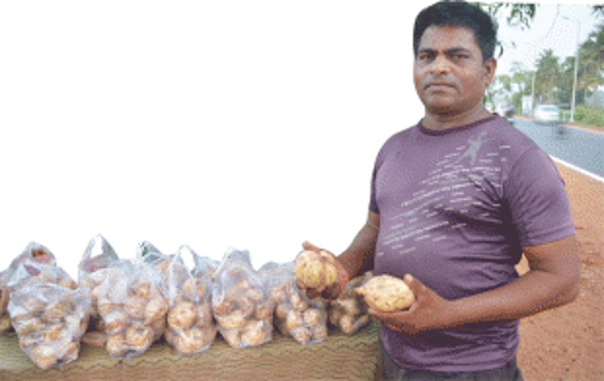 Agassaim: Where people have left,  but the green veggies haven’t