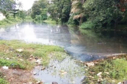 Agency to fast track Creek’s REJUVENATION