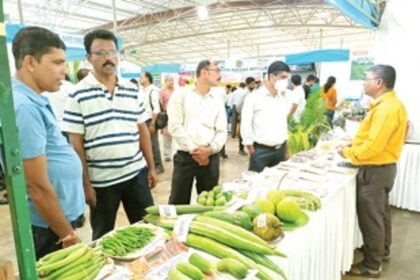 Agri Dept to soon constitute separate  coconut & mango corporations