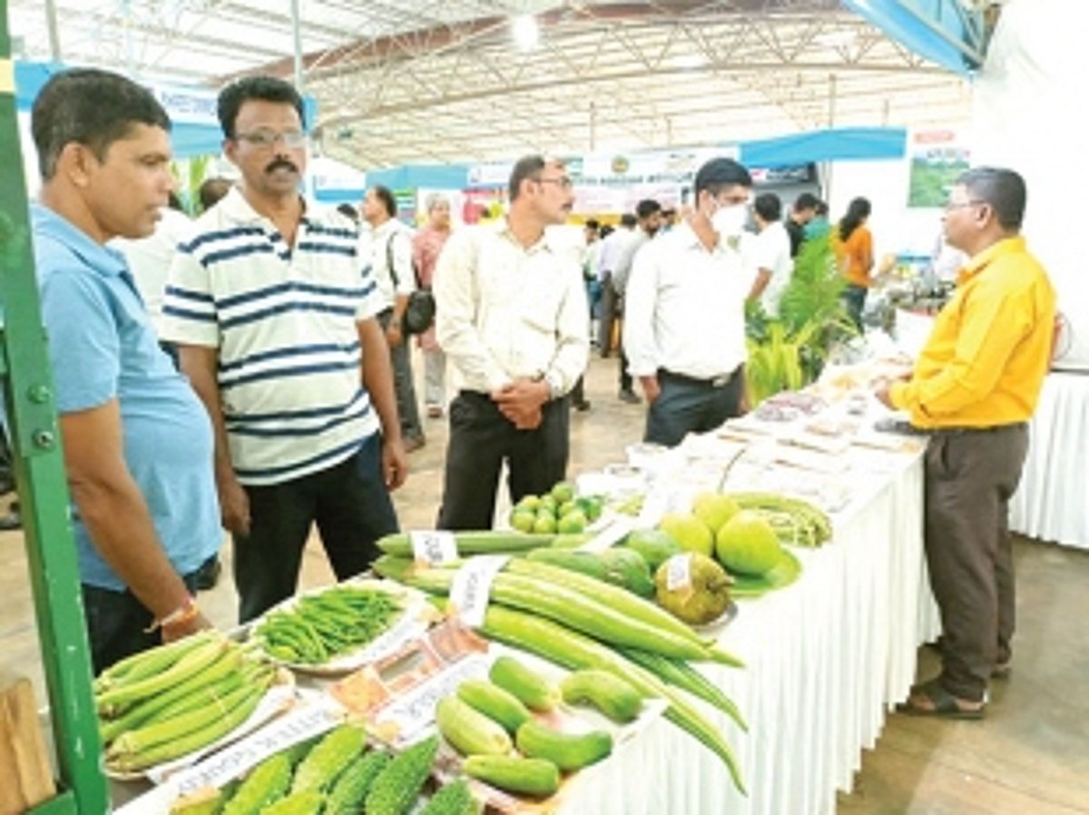 Agri Dept to soon constitute separate  coconut & mango corporations