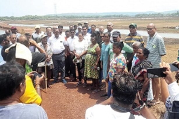 Agri land belongs to us, not govt property, assert Loutolim ryots