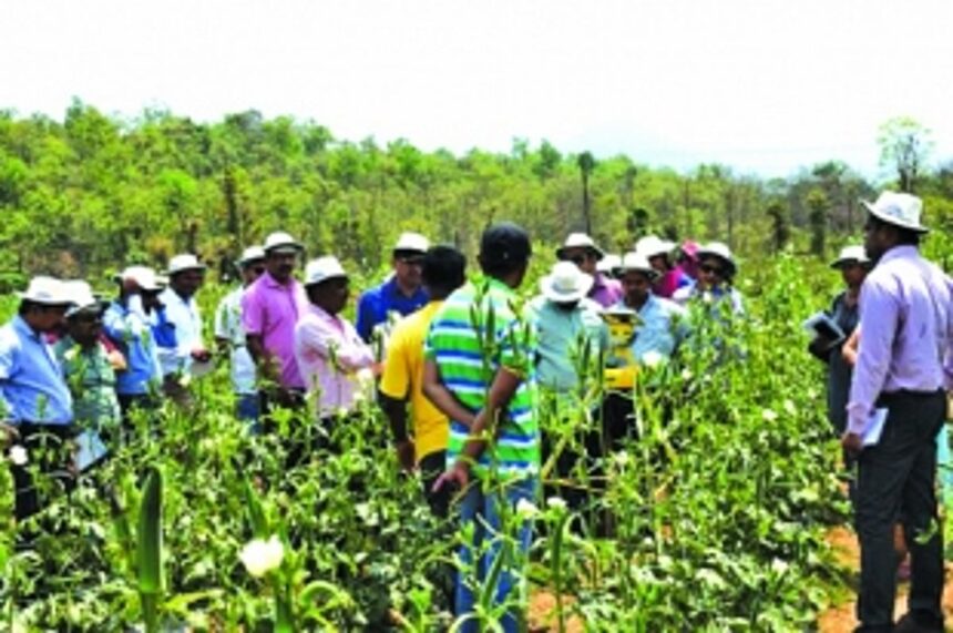 Agri officers visit Canacona farmers 1 Agri officers visit Canacona farmers
