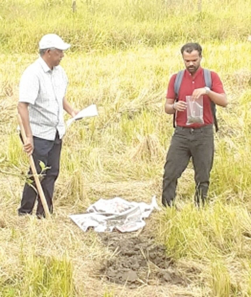 Agricultural Department holds  inspection of Cavelossim fields