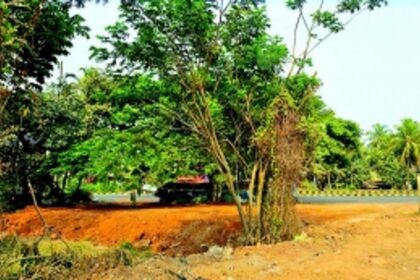 Agricultural land filled with mud in Navelim, locals demand probe
