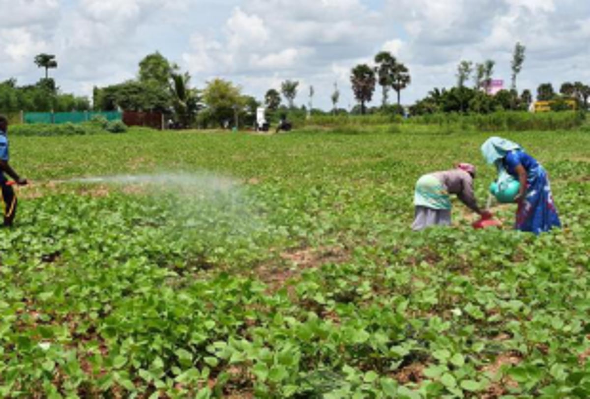 Agriculture census to be paperless, on android-based mobile app