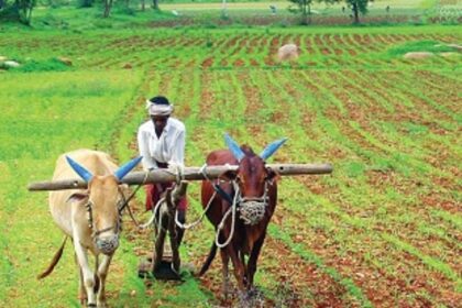 Agriculture on upward trend in Goa