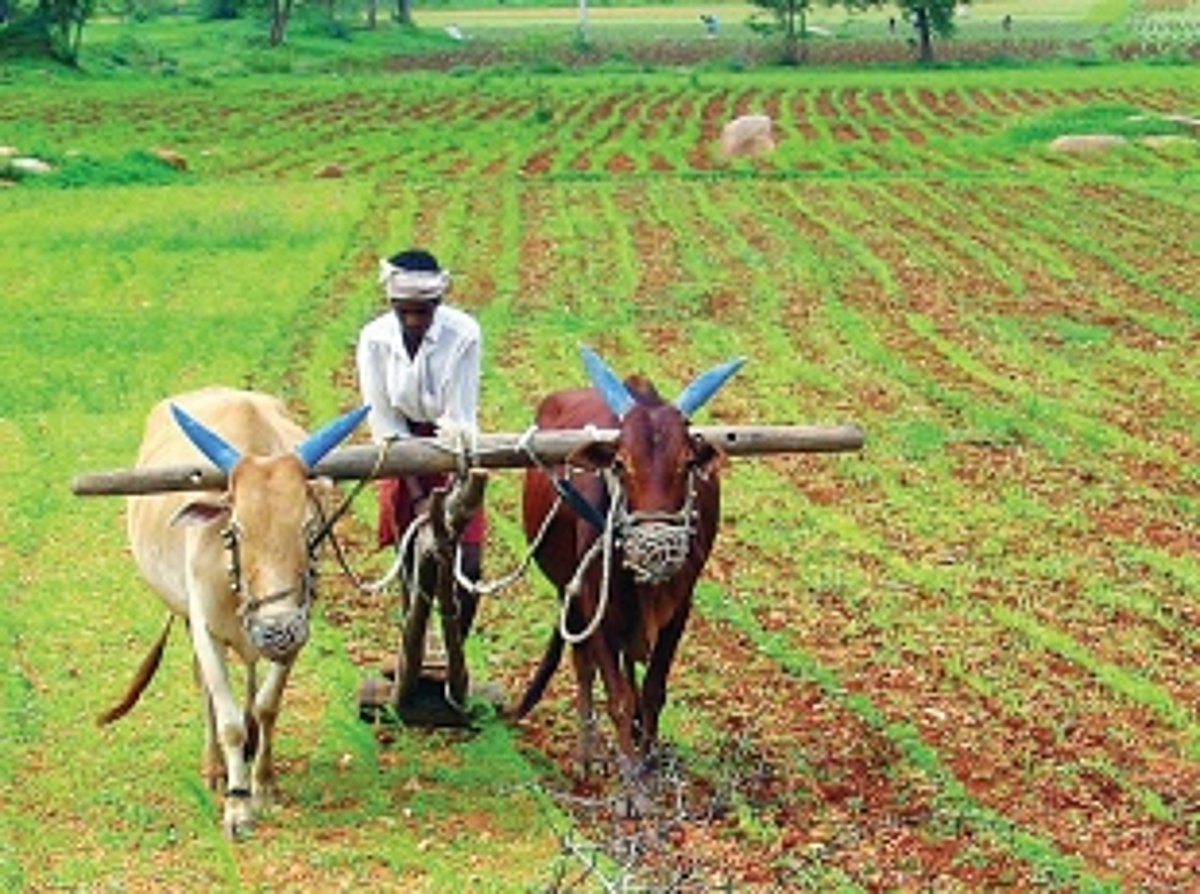 Agriculture on upward trend in Goa