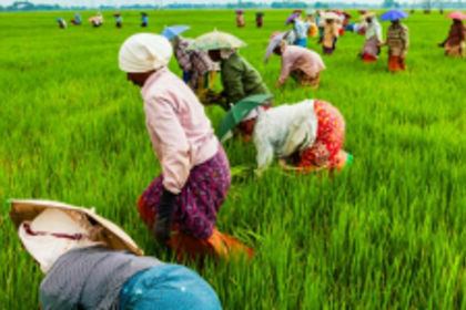 Agriculture sector in Goa needs to boost through value chain creation