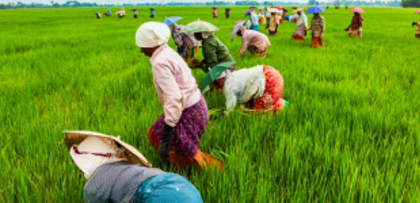 Agriculture sector in Goa needs to boost through value chain creation 1 Agriculture sector in Goa needs to boost through value chain creation