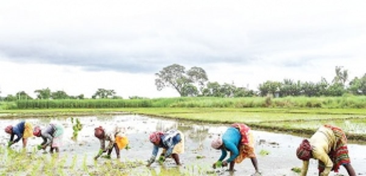 Agritourism: The way forward for Goa