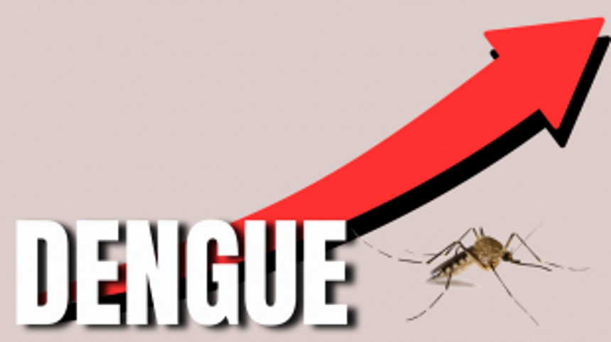 Alarming Surge in Dengue Cases Spurs Urgent Action in Mapusa