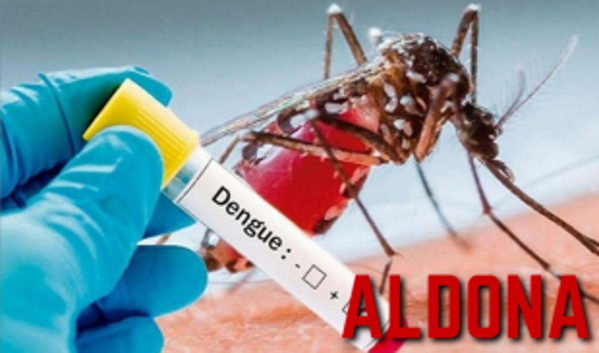 Aldona PHC reports 36 suspected dengue cases; no crisis, says Health Officer