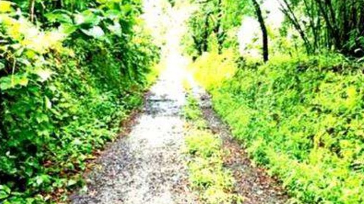 Aldona Residents Demand Urgent Repair of Neglected Naikawaddo Internal Road