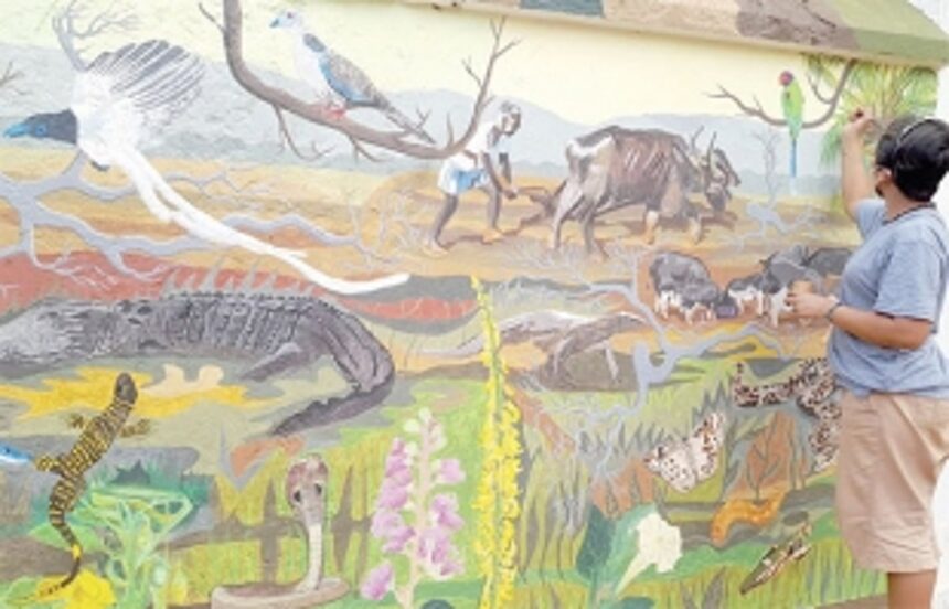 Aldona in myriad hues