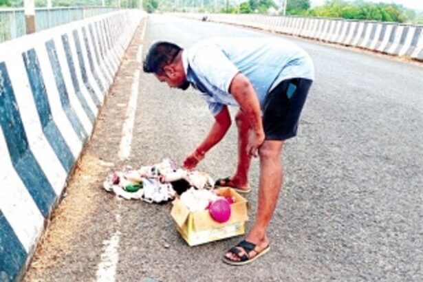 Aldona locals stumped as hundreds of colourful brassiers turn up along Carona-Calvim bridge