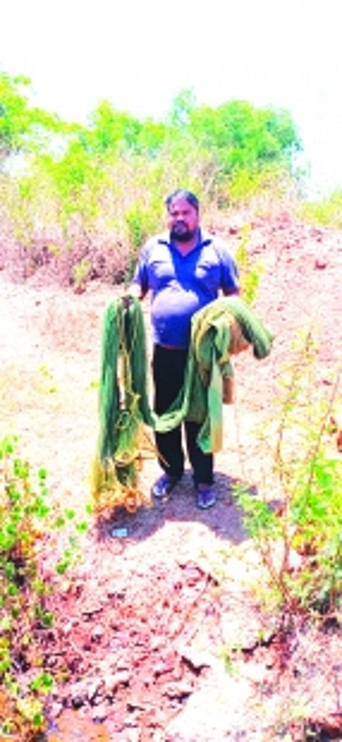 Aldona’s hidden gems: Mohan’s ‘Manshachem Sungtta’ and the abundance of the poim