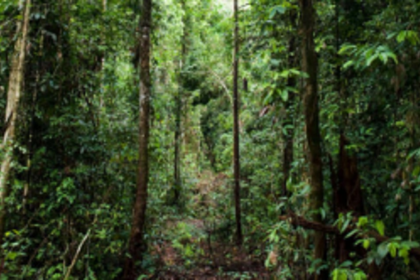 Aldonkars need protection for their natural resources, heritage sites