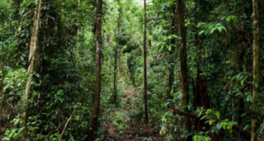 Aldonkars need protection for their natural resources, heritage sites