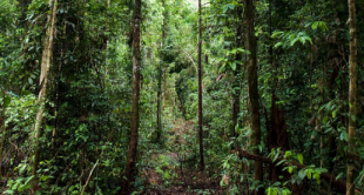 Aldonkars need protection for their natural resources, heritage sites