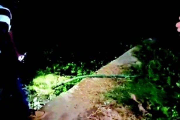 Alert Colva locals find Tourism Dept-run toilet block releasing raw sewage into creek