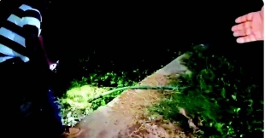 Alert Colva locals find Tourism Dept-run toilet block releasing raw sewage into creek