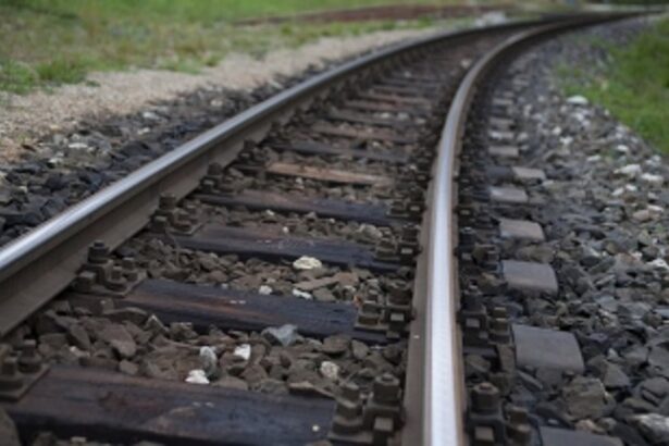 Alina 'shocked' at govt's move to go ahead  with doubling of Margao-Vasco railway line
