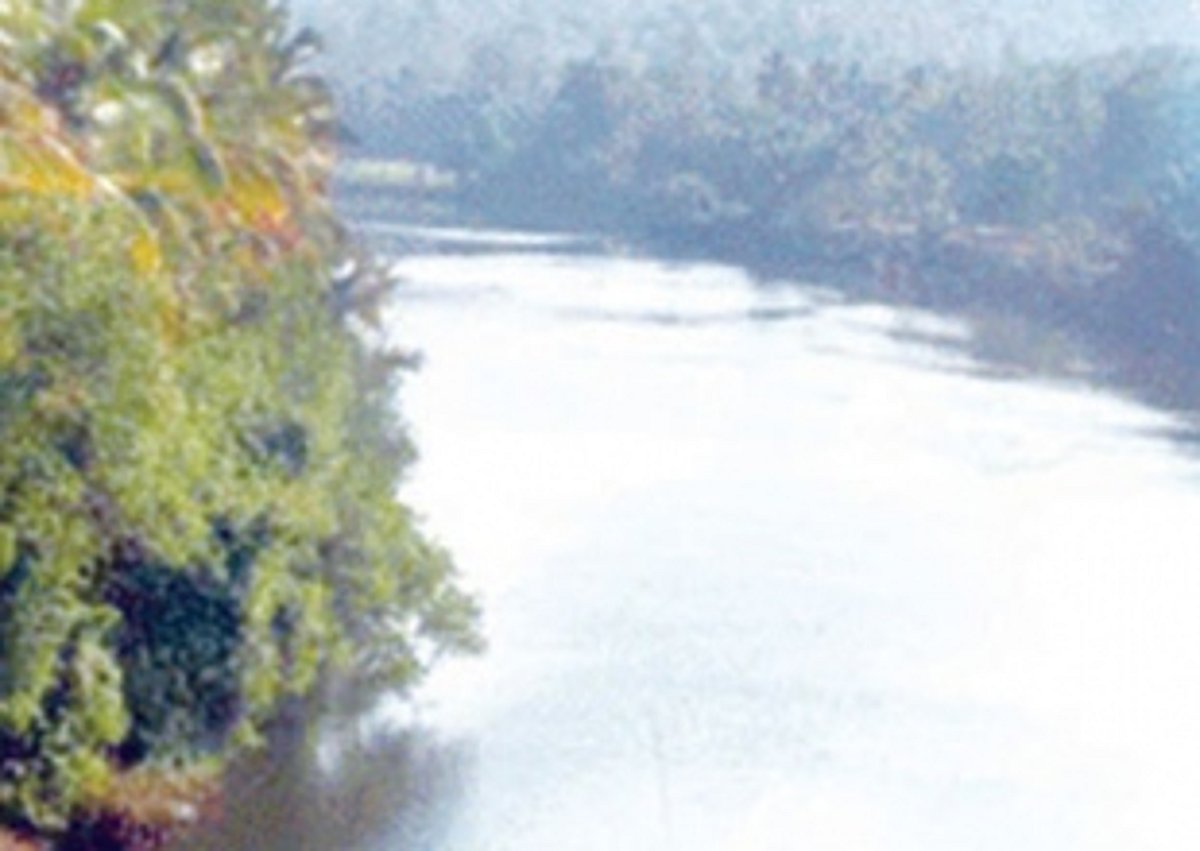 All eyes on CM as Centre doesn't meet Mhadei deadline